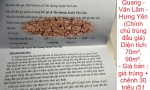 Bán đất đấu giá giãn dân Tân Quang - Văn Lâm - Hưng Yên (Chính chủ trúng đấu giá)