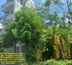 CHÍNH CHỦ Cần Bán Nhanh Lô Đất  Đẹp Khu 13C Greenlife Vị Trí Tại Huyện Bình Chánh, TP HCM