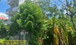 CHÍNH CHỦ Cần Bán Nhanh Lô Đất  Đẹp Khu 13C Greenlife Vị Trí Tại Huyện Bình Chánh, TP HCM