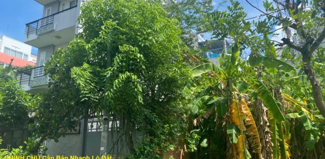 CHÍNH CHỦ Cần Bán Nhanh Lô Đất Đẹp Khu 13C Greenlife Vị Trí Tại Huyện Bình Chánh, TP HCM