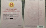 LÔ ĐẤT VỊ TRÍ ĐẸP - GIÁ ƯU ĐÃI cần bán nhanh lô đất tại huyện Thanh Trì, TP Hà Nội