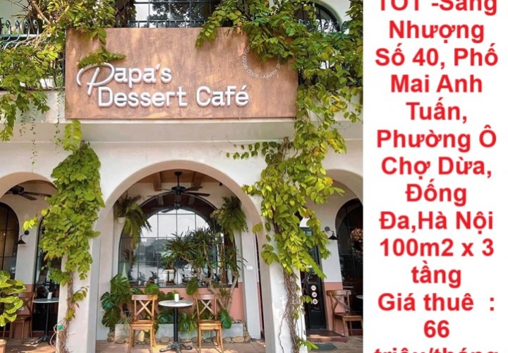 MẶT BẰNG ĐẸP- GIÁ TỐT -Sang Nhượng Số 40, Phố Mai Anh Tuấn, Phường Ô Chợ Dừa, Đống Đa,Hà Nội