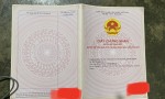 CHÍNH CHỦ Cần Bán ĐấtTại Ấp Thạnh Hòa, Xã Thạnh Đông, Huyện Tân Châu, Tỉnh Tây Ninh (cũ).