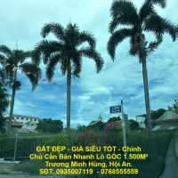 ĐẤT ĐẸP - GIÁ SIÊU TỐT - Chính Chủ Cần Bán Nhanh Lô GÓC 1.500M² Trương Minh Hùng, Hội An.