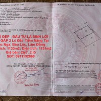 VỊ TRÍ ĐẸP - ĐẦU TƯ LÀ SINH LỜI - Bán GẤP 2 Lô Đất thửa 323 và 324 Tiềm Năng Tại Lộc Nga, Bảo Lộc, Lâm Đồng