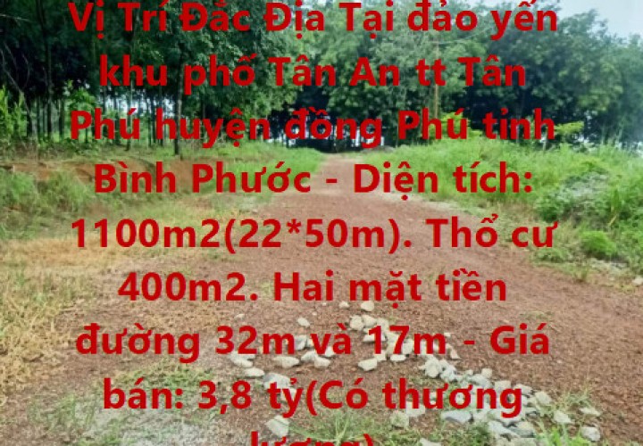 CHÍNH CHỦ CẦN BÁN NHANH 2 Lô Đất  Liền Kề Vị Trí Đắc Địa Tại Tân Phú ,Đồng Phú, Bình Phước