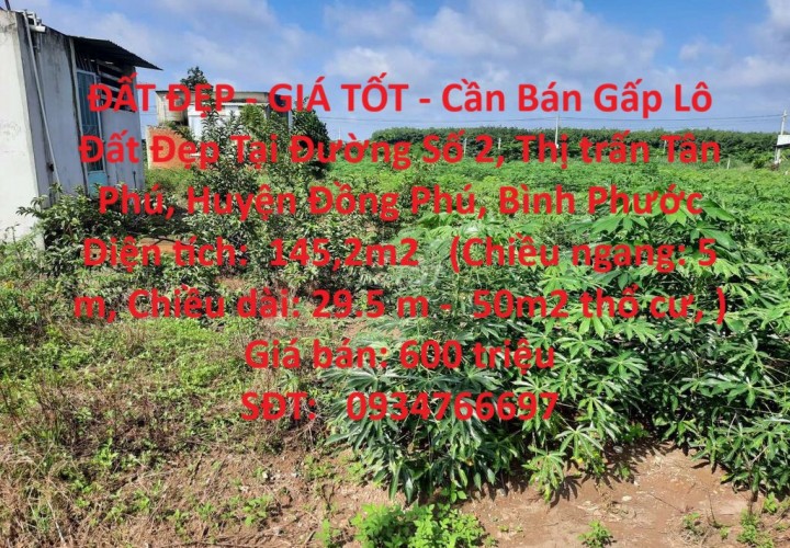 ĐẤT ĐẸP - GIÁ TỐT - Cần Bán Gấp Lô Đất Đẹp Tại Thị trấn Tân Phú, Huyện Đồng Phú, Bình Phước