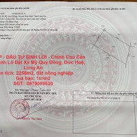 ĐẤT ĐẸP - ĐẦU TƯ SINH LỜI - Chính Chủ Cần Bán Nhanh Lô Đất Xã Mỹ Quý Đông, Đức Huệ, Long An