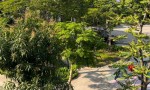 CHÍNH CHỦ Bán Căn Nhà Thô Khu ST5 KĐT Gamuda Gardens, phường Trần Phú, quận Hoàng Mai, TP Hà Nội