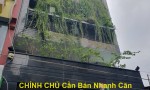 CHÍNH CHỦ Cần Bán Nhanh Căn Nhà  Đẹp Vị Trí Tại Quận 12, TP HCM