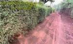 HÓT HÓT HÓT Chính Chủ Bán Ngay Chợ Xã Ia BLứ, Huyện Chư Pưh, Gia Lai