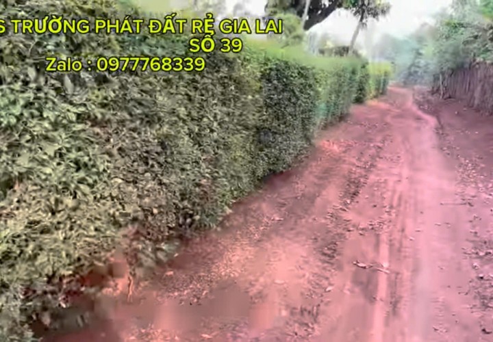 HÓT HÓT HÓT Chính Chủ Bán Ngay Chợ Xã Ia BLứ, Huyện Chư Pưh, Gia Lai