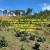 CHÍNH CHỦ BÁN LÔ LÔ THUNG LŨNG - GIÁ CỰC ƯU RẺ TẠI Đạ Nhim, Lạc Dương, Lâm Đồng
