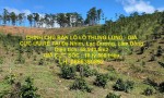 CHÍNH CHỦ BÁN LÔ LÔ THUNG LŨNG - GIÁ CỰC ƯU RẺ TẠI Đạ Nhim, Lạc Dương, Lâm Đồng