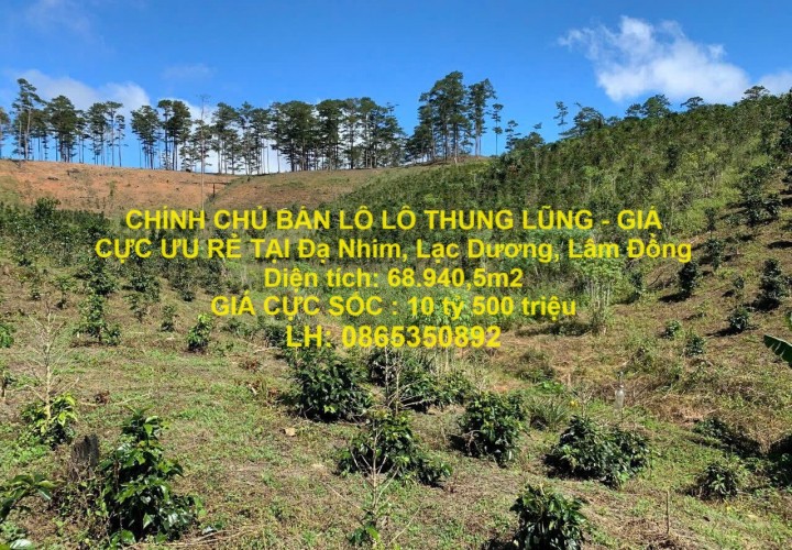 CHÍNH CHỦ BÁN LÔ LÔ THUNG LŨNG - GIÁ CỰC ƯU RẺ TẠI Đạ Nhim, Lạc Dương, Lâm Đồng