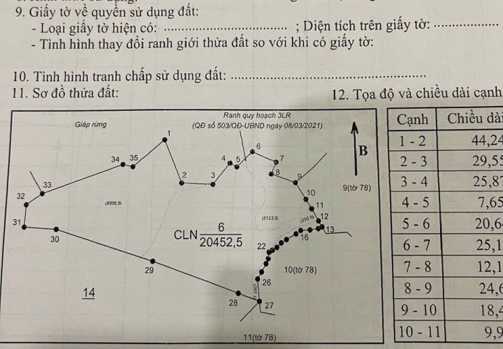 CHÍNH CHỦ BÁN LÔ LÔ THUNG LŨNG - GIÁ CỰC ƯU RẺ TẠI Đạ Nhim, Lạc Dương, Lâm Đồng