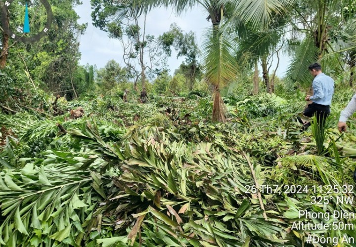 Đất Đẹp - Giá Tốt - Chính Chủ Cần Bán Lô Đất Vị Trí Đẹp Tại Xã Trường Long Phong Điền Cần Thơ