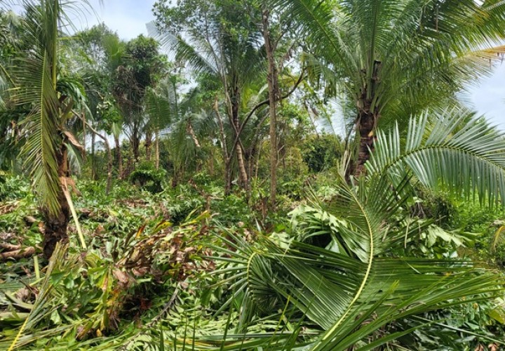 Đất Đẹp - Giá Tốt - Chính Chủ Cần Bán Lô Đất Vị Trí Đẹp Tại Xã Trường Long Phong Điền Cần Thơ