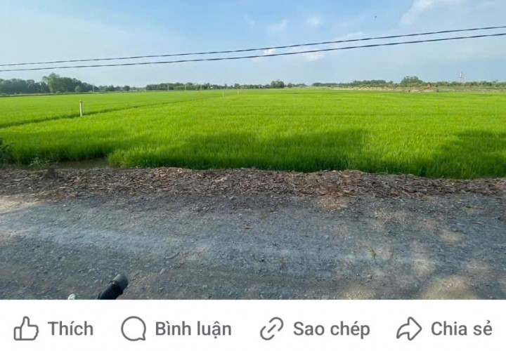 Chính Chủ Cần Bán Lô Đất Và 2 Căn Nhà Liền Kề Tại Huyện Đức Hòa , Tỉnh Long An.