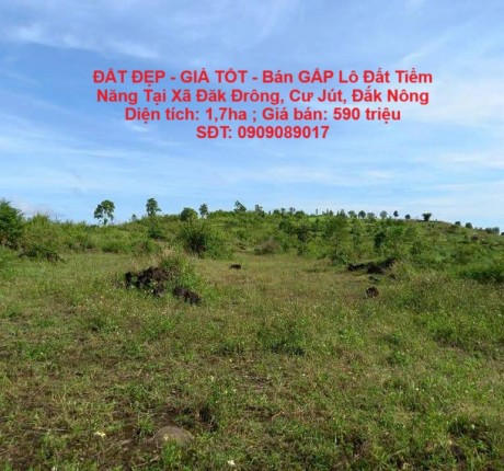 ĐẤT ĐẸP - GIÁ TỐT - Bán GẤP Lô Đất Tiềm Năng Tại Xã Đăk Đrông, Cư Jút, Đắk Nông