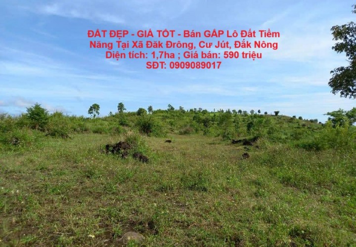 ĐẤT ĐẸP - GIÁ TỐT - Bán GẤP Lô Đất Tiềm Năng Tại Xã Đăk Đrông, Cư Jút, Đắk Nông
