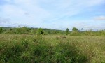 ĐẤT ĐẸP - GIÁ TỐT - Bán GẤP Lô Đất Tiềm Năng Tại Xã Đăk Đrông, Cư Jút, Đắk Nông