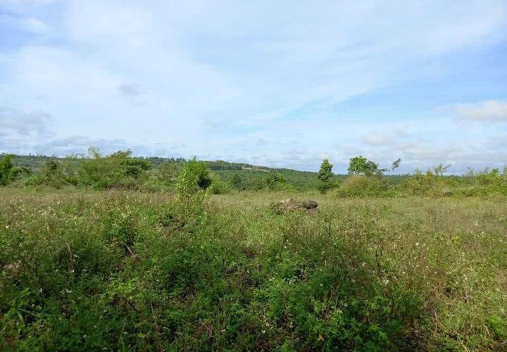 ĐẤT ĐẸP - GIÁ TỐT - Bán GẤP Lô Đất Tiềm Năng Tại Xã Đăk Đrông, Cư Jút, Đắk Nông