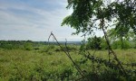 ĐẤT ĐẸP - GIÁ TỐT - Bán GẤP Lô Đất Tiềm Năng Tại Xã Đăk Đrông, Cư Jút, Đắk Nông