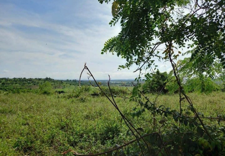 ĐẤT ĐẸP - GIÁ TỐT - Bán GẤP Lô Đất Tiềm Năng Tại Xã Đăk Đrông, Cư Jút, Đắk Nông
