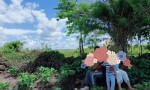 ĐẤT ĐẸP - GIÁ TỐT - Bán GẤP Lô Đất Tiềm Năng Tại Xã Đăk Đrông, Cư Jút, Đắk Nông