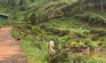 ĐẤT ĐẸP – GIÁ TỐT – CHÍNH CHỦ CẦN BÁN NHANH 1,4Ha ĐẤT Tà Nung, Đà Lạt, Lâm Đồng