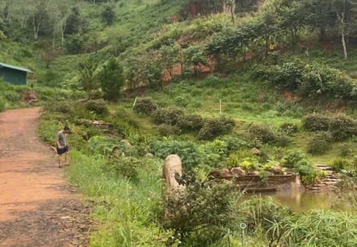 ĐẤT ĐẸP – GIÁ TỐT – CHÍNH CHỦ CẦN BÁN NHANH 1,4Ha ĐẤT Tà Nung, Đà Lạt, Lâm Đồng