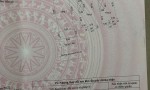 GIÁ TỐT - CHÍNH CHỦ Cần Bán Nhanh 2 Căn Biệt Thự  Vị Trí Tại Quận Liên Chiểu, TP Đà Nẵng