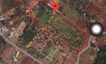 ĐẤT ĐẸP – GIÁ TỐT  - Chính Chủ Cần Bán Nhanh 1,6Ha Đất Tân Phú, Ea Nuôi, Buôn Đôn, Đắk Lắk
