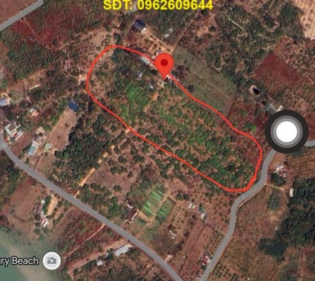 ĐẤT ĐẸP – GIÁ TỐT - Chính Chủ Cần Bán Nhanh 1,6Ha Đất Tân Phú, Ea Nuôi, Buôn Đôn, Đắk Lắk