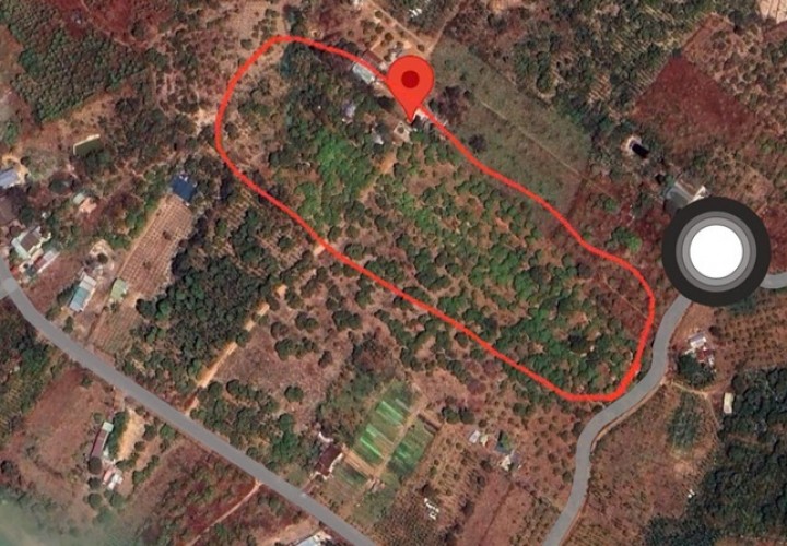 ĐẤT ĐẸP – GIÁ TỐT  - Chính Chủ Cần Bán Nhanh 1,6Ha Đất Tân Phú, Ea Nuôi, Buôn Đôn, Đắk Lắk