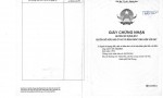 ĐẤT ĐẸP - GIÁ RẺ- Bán GẤP Lô Đất ĐẶC KHU CÁT HẢI - HẢI PHÒNG,  ĐẤT THỔ CƯ (ĐẢO CÁT BÀ)