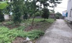 ĐẤT ĐẸP - MẶT TIỀN - Bán GẤP Lô Đất Tiềm Năng Tại Thôn Phú Thanh, xã An Phú (cũ), Hà Nội