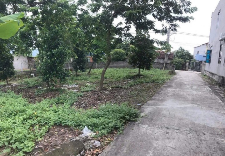 ĐẤT ĐẸP - MẶT TIỀN - Bán GẤP Lô Đất Tiềm Năng Tại Thôn Phú Thanh, xã An Phú (cũ), Hà Nội