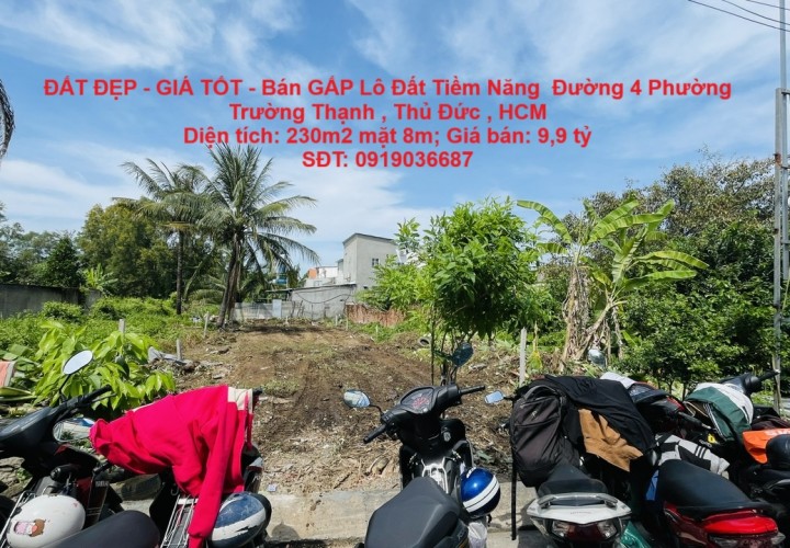 ĐẤT ĐẸP - GIÁ TỐT - Bán GẤP Lô Đất Tiềm Năng  Đường 4 Phường Trường Thạnh , Thủ Đức , HCM
