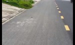 Chính Chủ Cần Bán GẤP Lô Đất Mặt Tiền Đường Nhựa Trưng Nhị Tân An, Phường La Gi, Lâm Đồng.