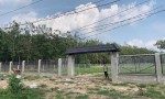 ĐẤT CHÍNH CHỦ - GIÁ TỐT - Xã Định An, Huyện Dầu Tiếng, Tỉnh Bình Dương