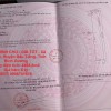 ĐẤT CHÍNH CHỦ - GIÁ TỐT - Xã Định An, Huyện Dầu Tiếng, Tỉnh Bình Dương