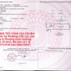 NHÀ  ĐẸP - GIÁ TỐT- Chính Chủ Cần Bán Gấp Căn  NHà Tại Phường 2 Đà Lạt, Lâm Đồng