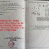 ĐẤT CHÍNH CHỦ - SỔ ĐỎ - Đường Xuân Phú - Xuân Tây, Xã Xuân Tây, Cẩm Mỹ, Đồng Nai