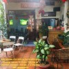 NHÀ ĐẸP - GIÁ TỐT - CHÍNH CHỦ CẦN BÁN NHANH CĂN NHÀ Ngay TRUNG TÂM PLEIKU, GIA LAI