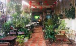 NHÀ ĐẸP - GIÁ TỐT - CHÍNH CHỦ CẦN BÁN NHANH CĂN NHÀ Ngay TRUNG TÂM PLEIKU, GIA LAI