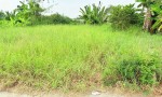 ĐẤT ĐẸP – MẶT TIỀN - Chính Chủ Bán Lô Đất Tiềm Năng Đường Trần Văn Đức, Bình Lãng, Tân Trụ, Long An