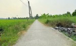 ĐẤT ĐẸP – MẶT TIỀN - Chính Chủ Bán Lô Đất Tiềm Năng Đường Trần Văn Đức, Bình Lãng, Tân Trụ, Long An