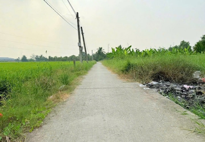 ĐẤT ĐẸP – MẶT TIỀN - Chính Chủ Bán Lô Đất Tiềm Năng Đường Trần Văn Đức, Bình Lãng, Tân Trụ, Long An